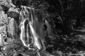 natuurfotografie arnhem waterval park sonsbeek